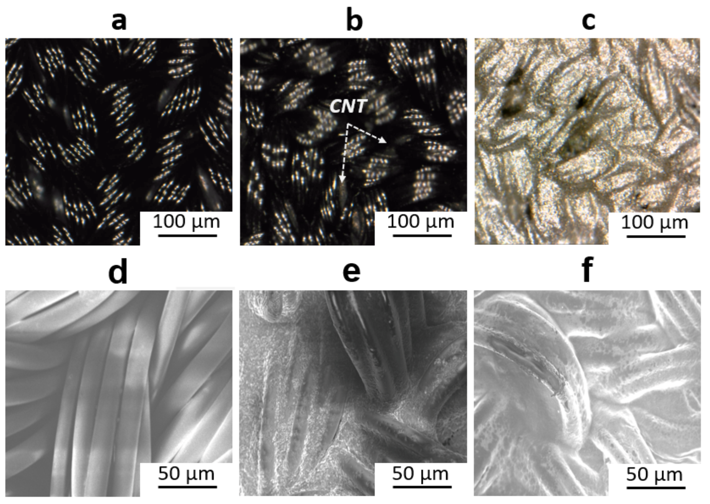 Applsci 10 00989 g004