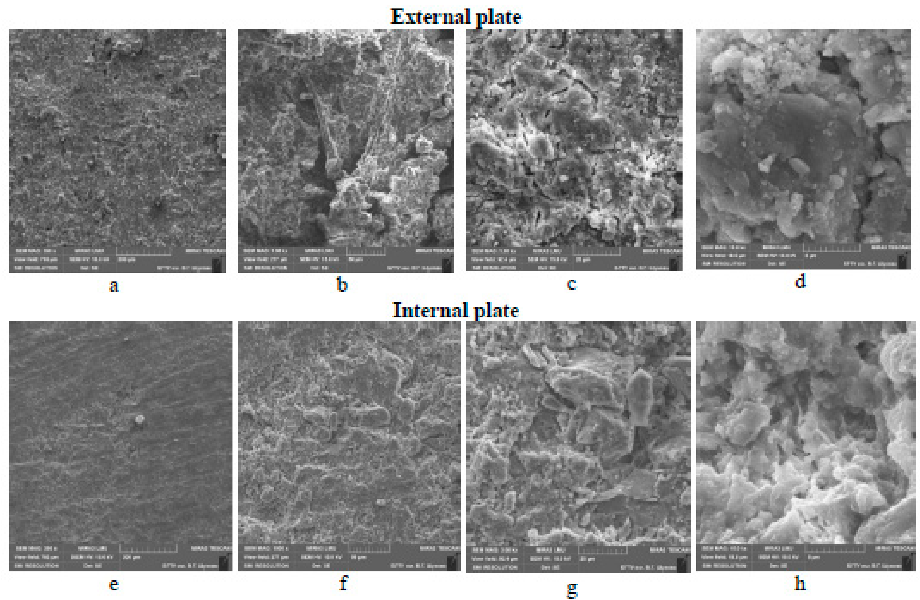 Applsci 10 00990 g001