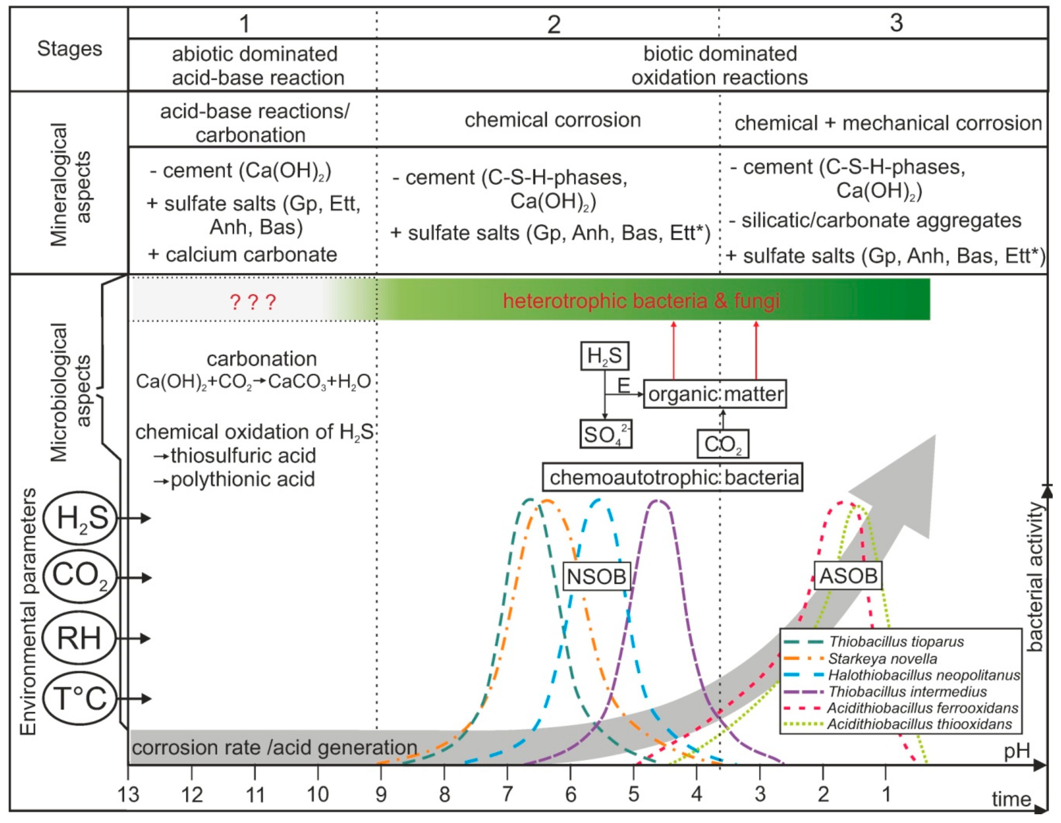 Applsci 10 00990 g003