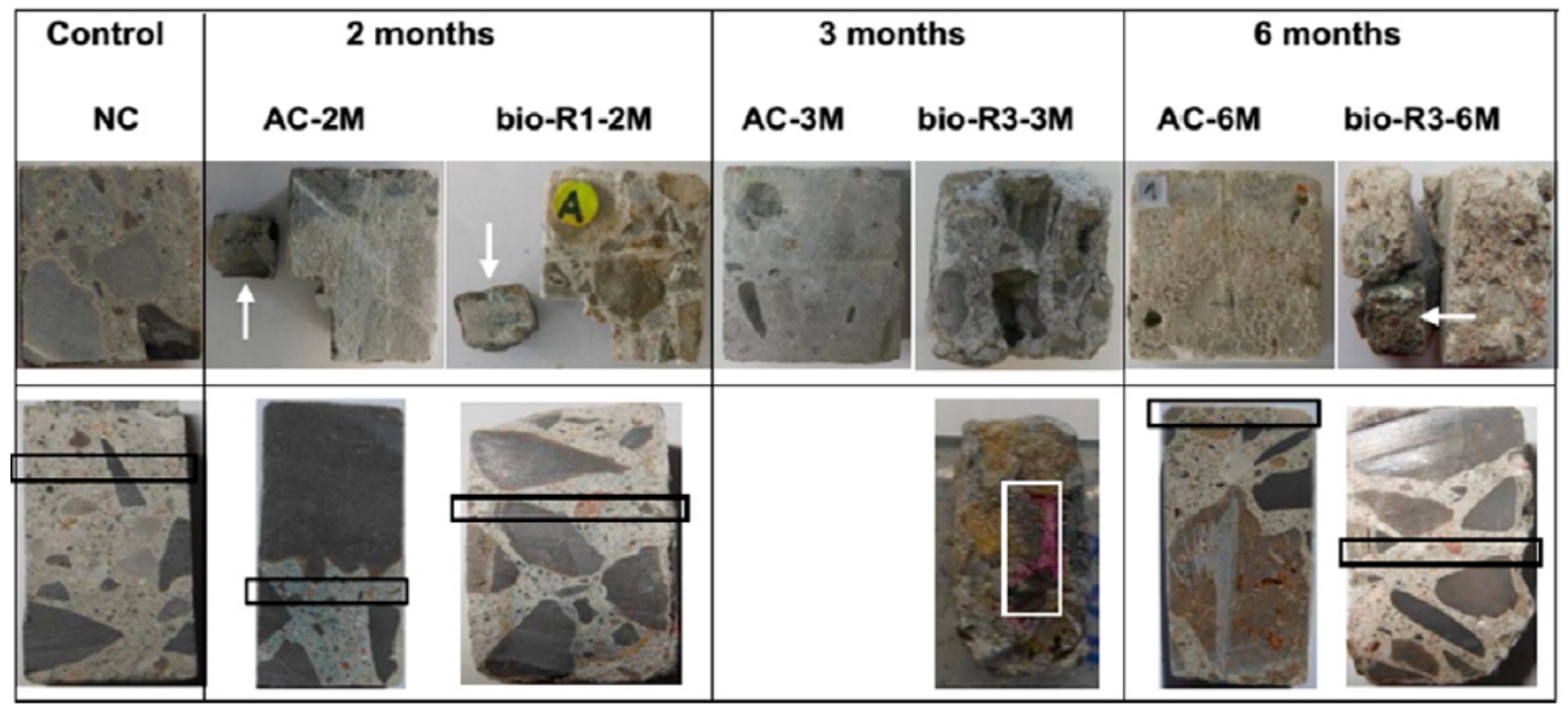 Applsci 10 00990 g004