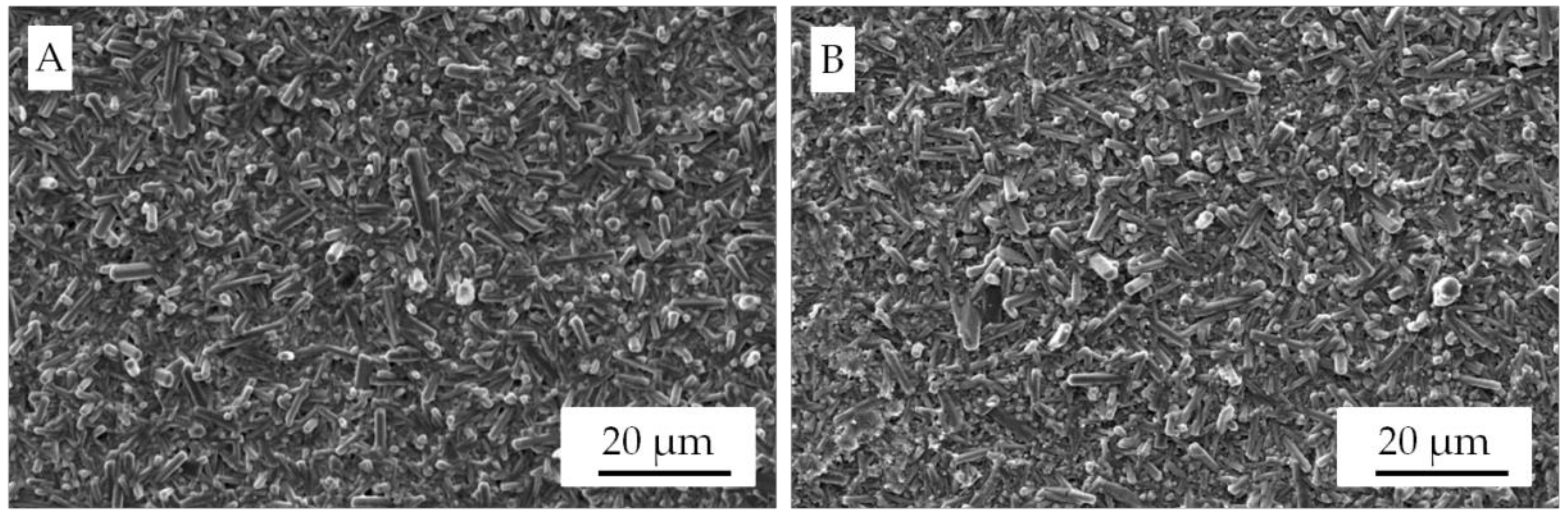 Applsci 10 00996 g013