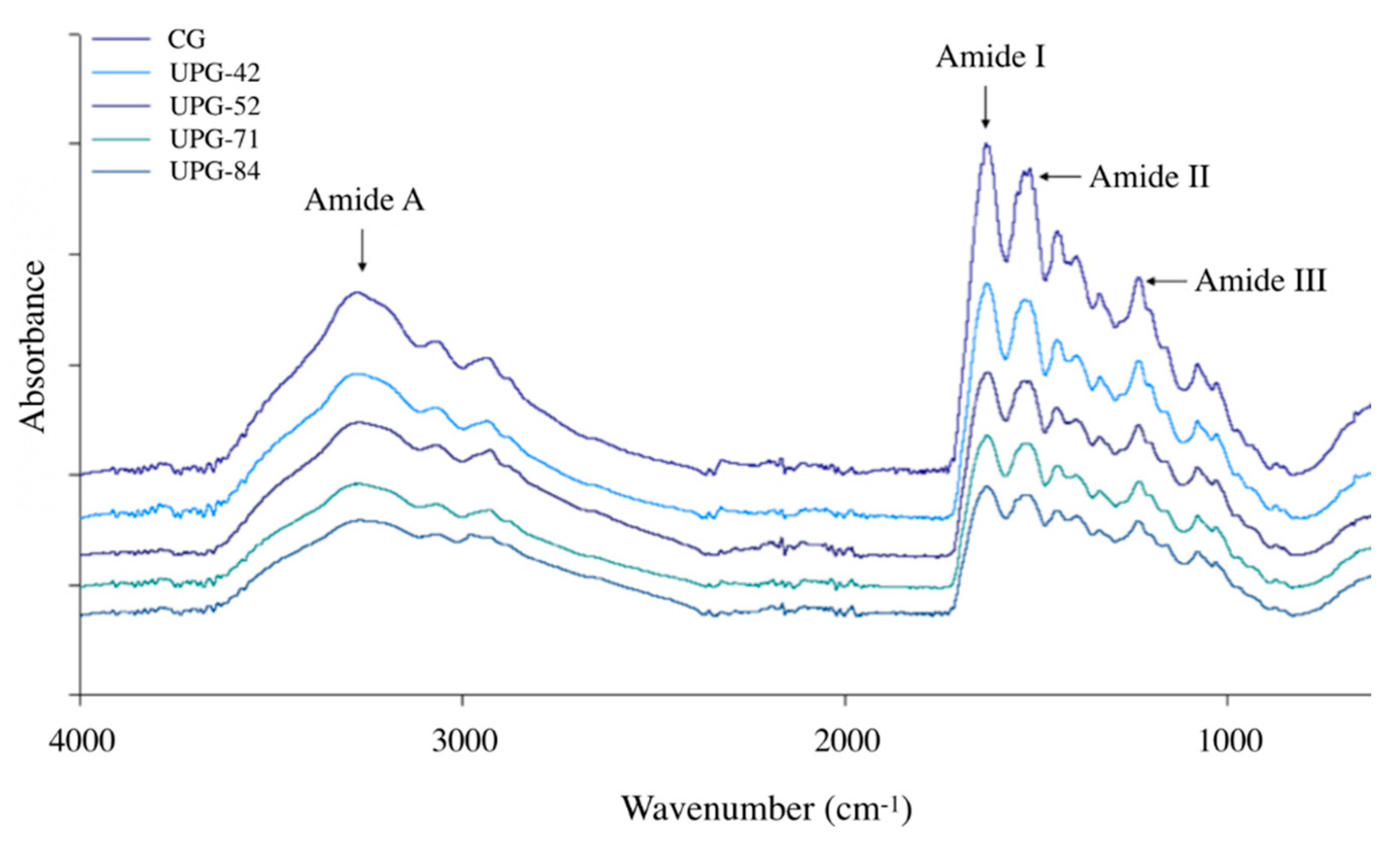 Applsci 10 01004 g003 Applsci 10 01004 g003