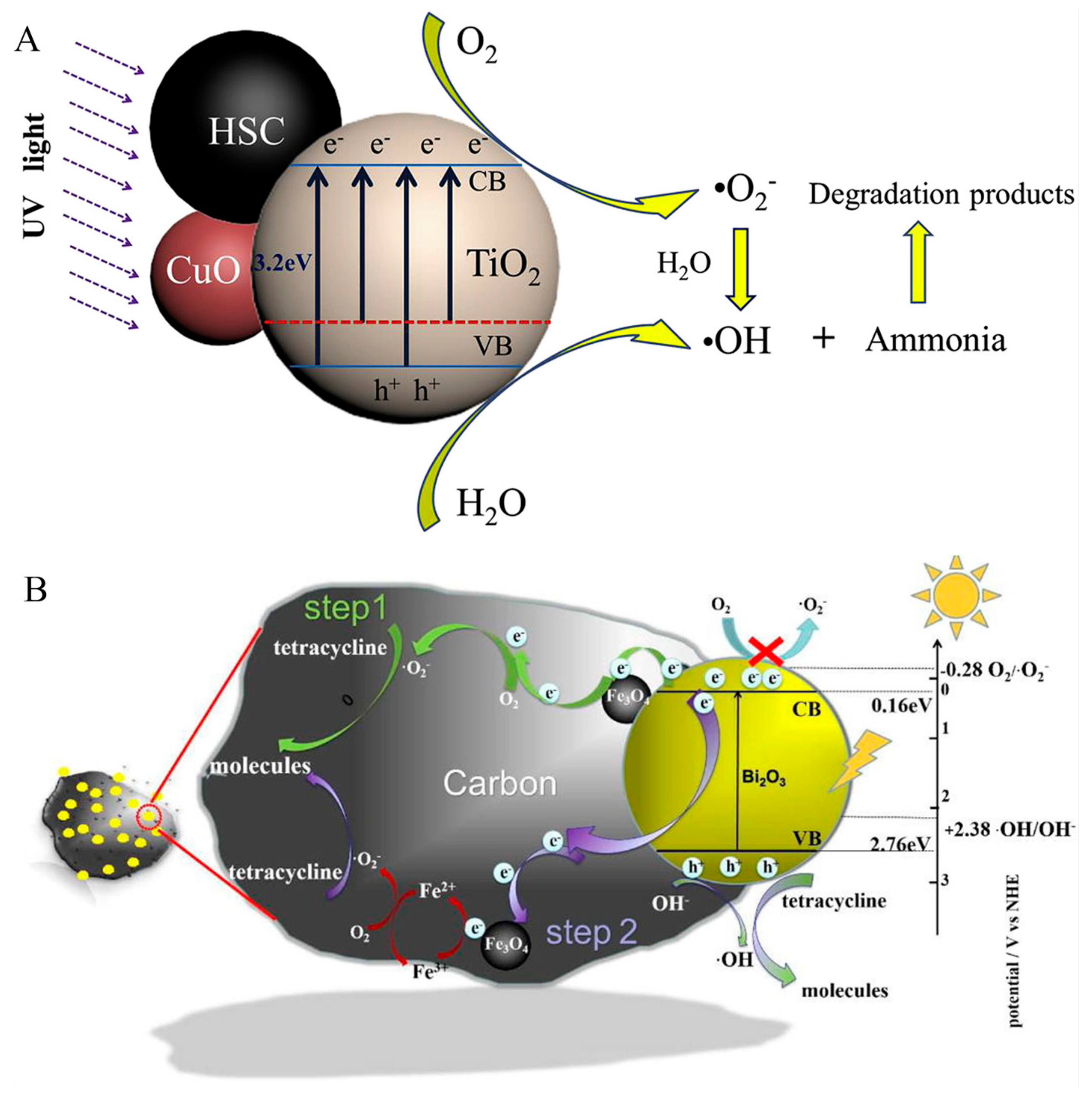 Applsci 10 01019 g006 Applsci 10 01019 g006