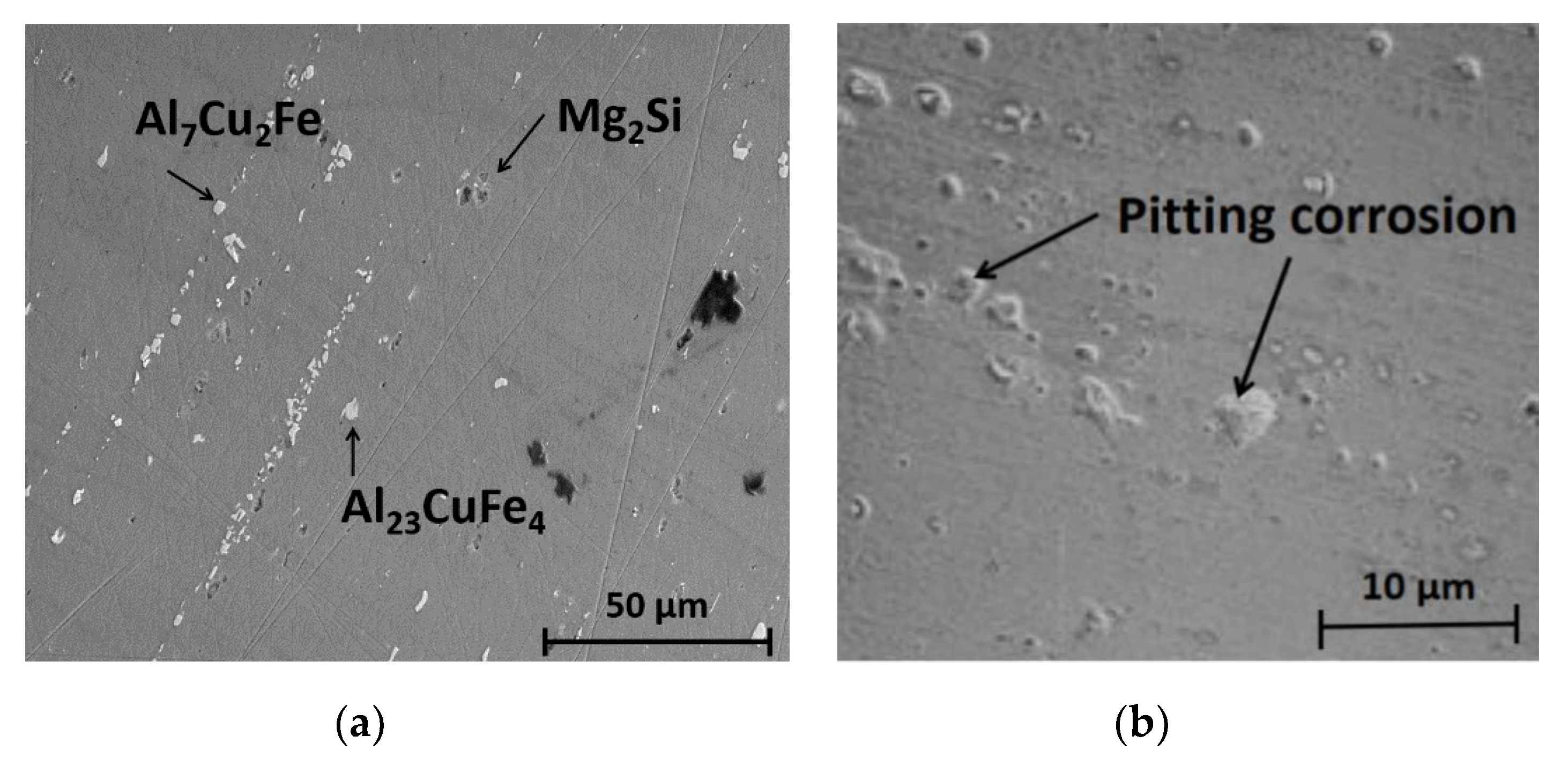 Applsci 10 01049 g006