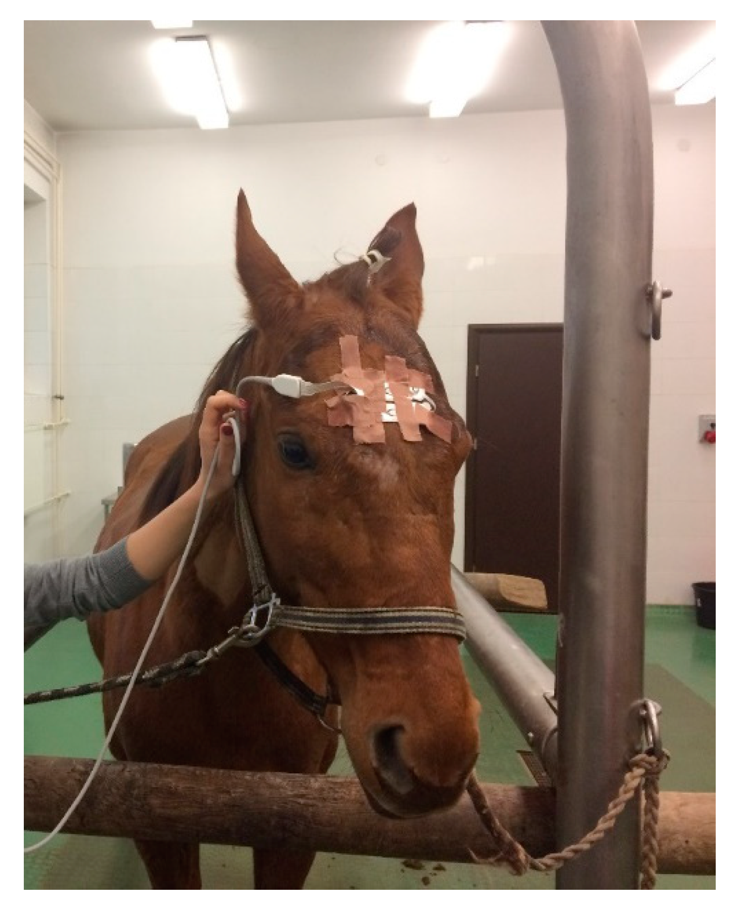 Applsci 10 01050 g001