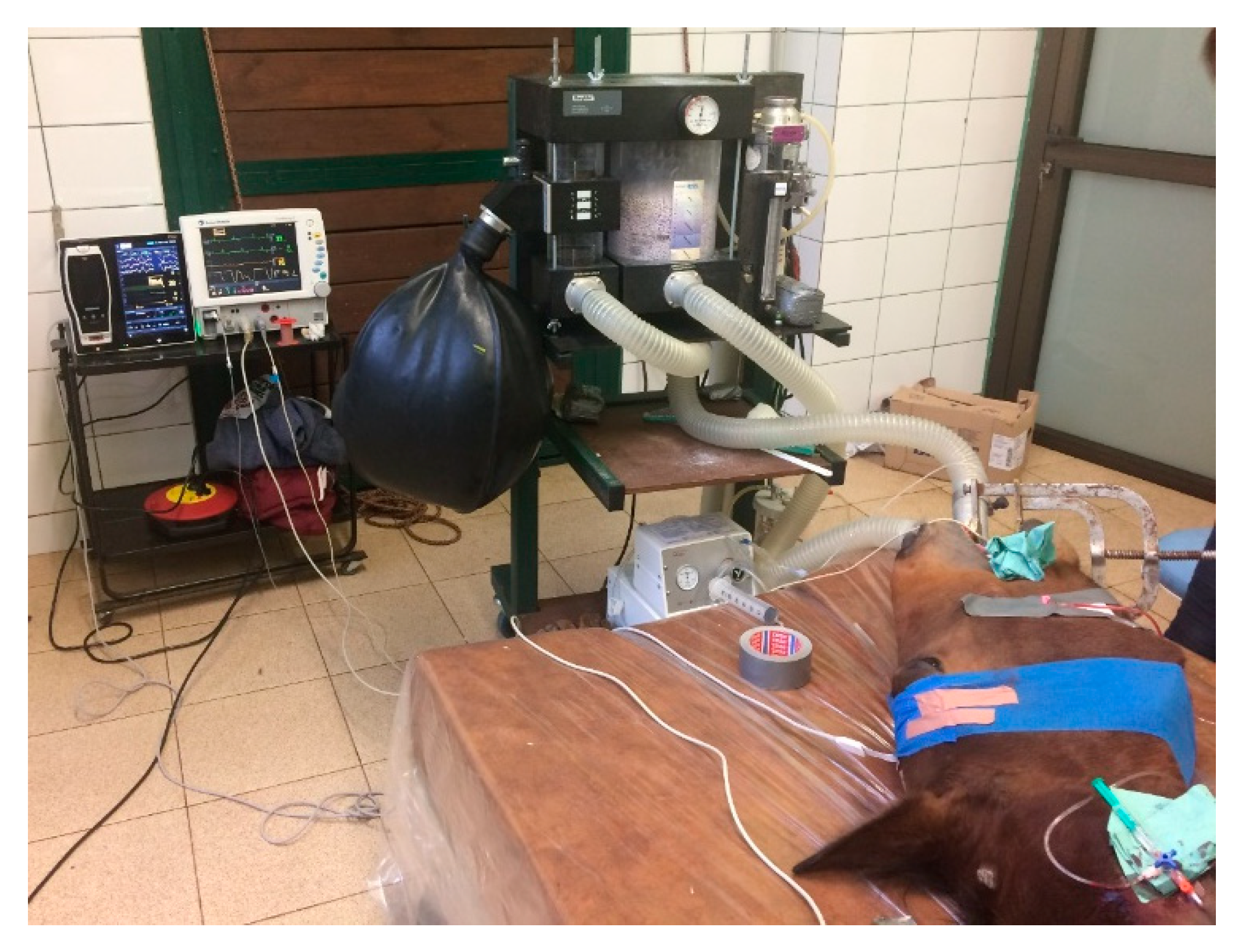 Applsci 10 01050 g007