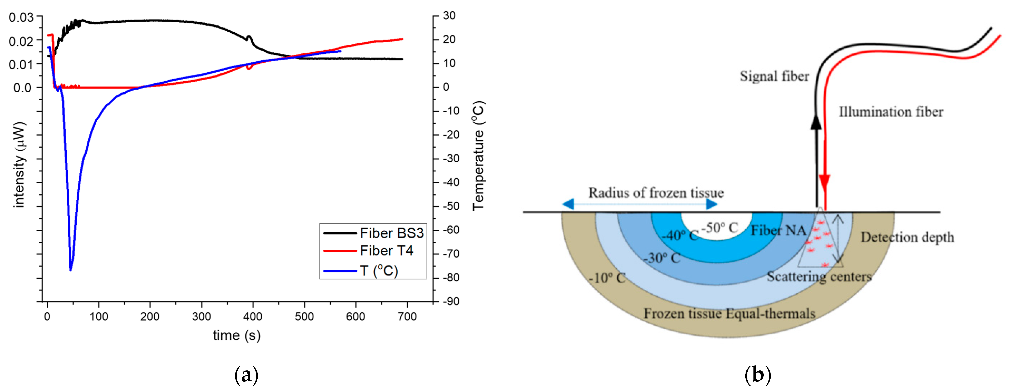Applsci 10 01053 g004