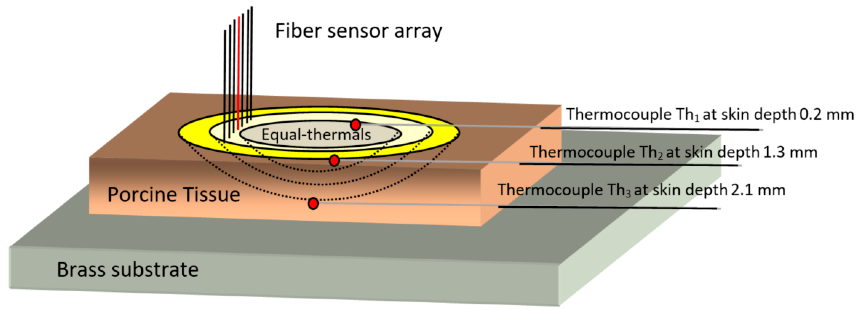 Applsci 10 01053 g006