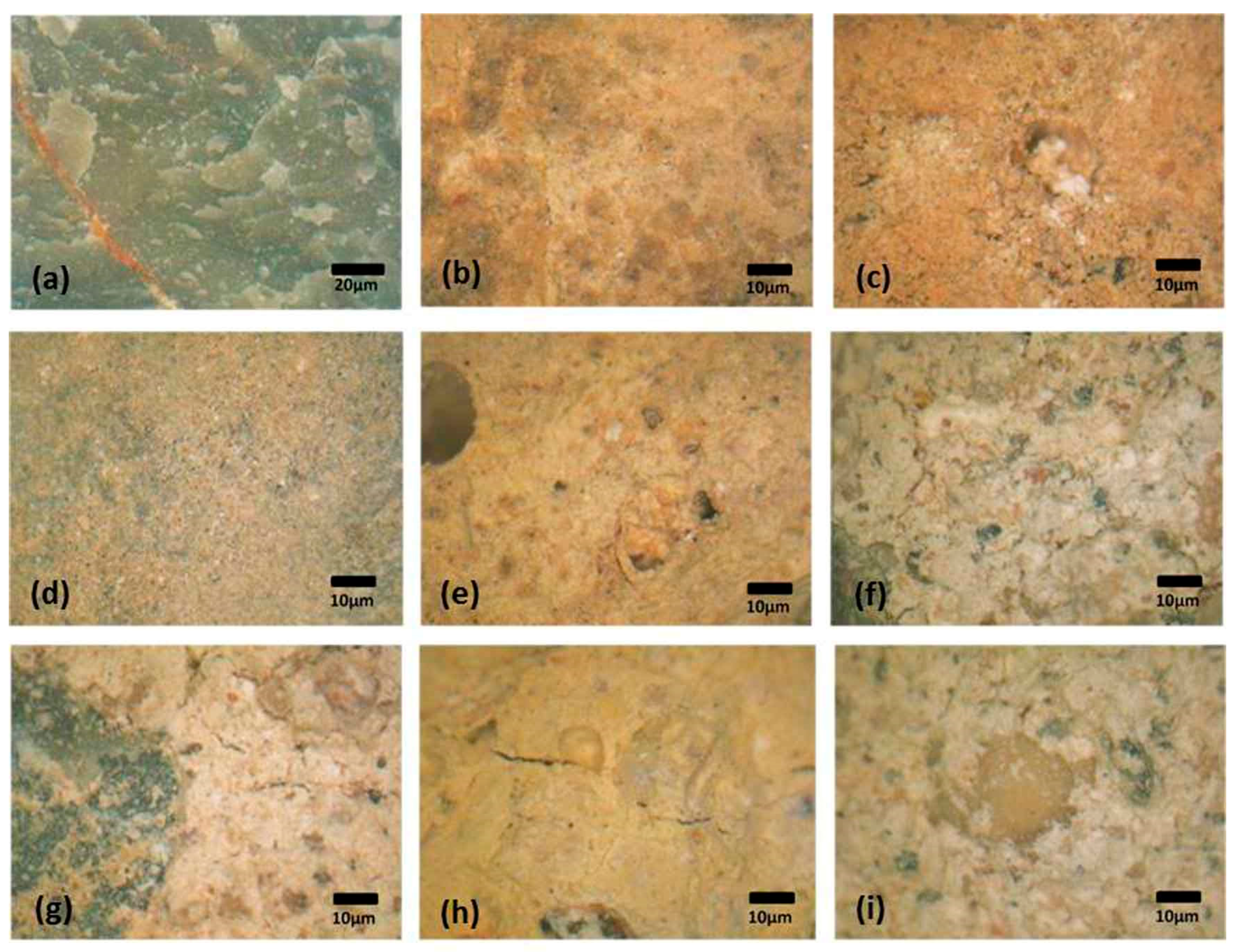 Applsci 10 01078 g006 Applsci 10 01078 g006