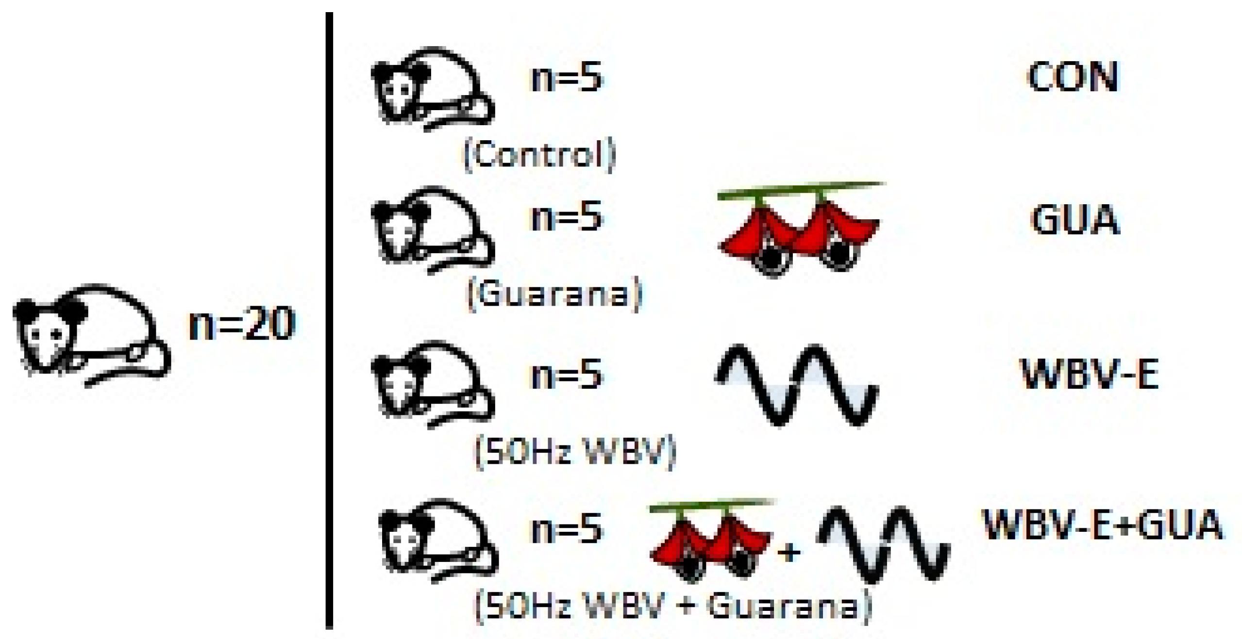 Applsci 10 01104 g002 Applsci 10 01104 g002