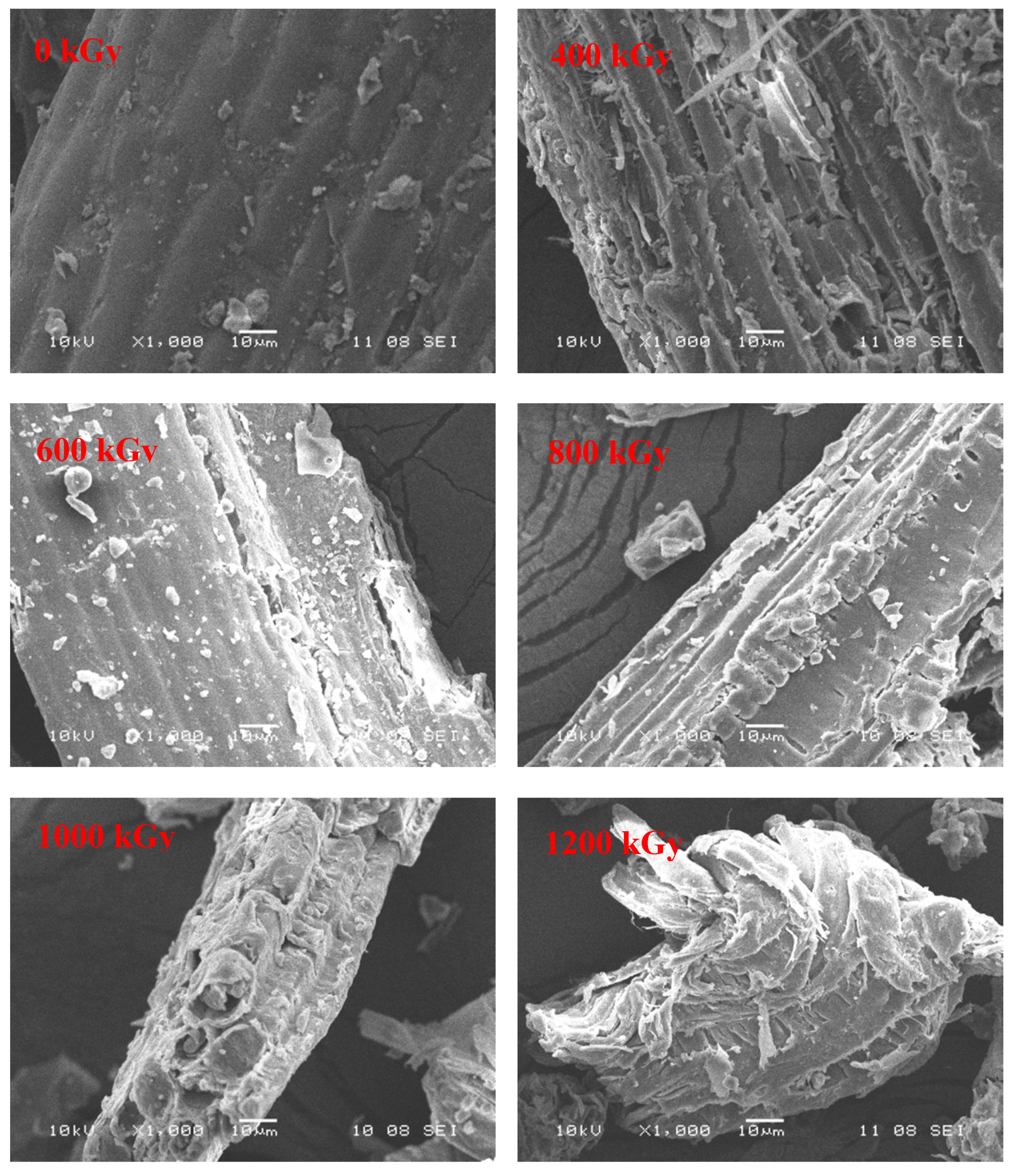 Applsci 10 01130 g006 Applsci 10 01130 g006