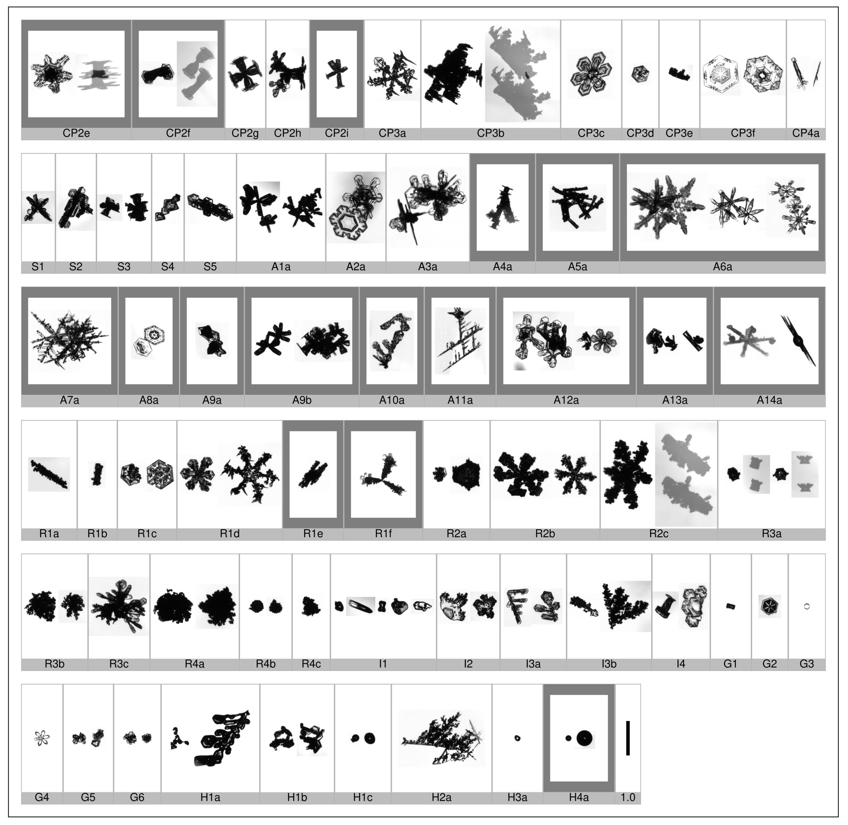 Applsci 10 01163 g0a2 Applsci 10 01163 g0a2