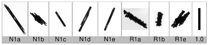 Applsci 10 01163 i001 Applsci 10 01163 i001