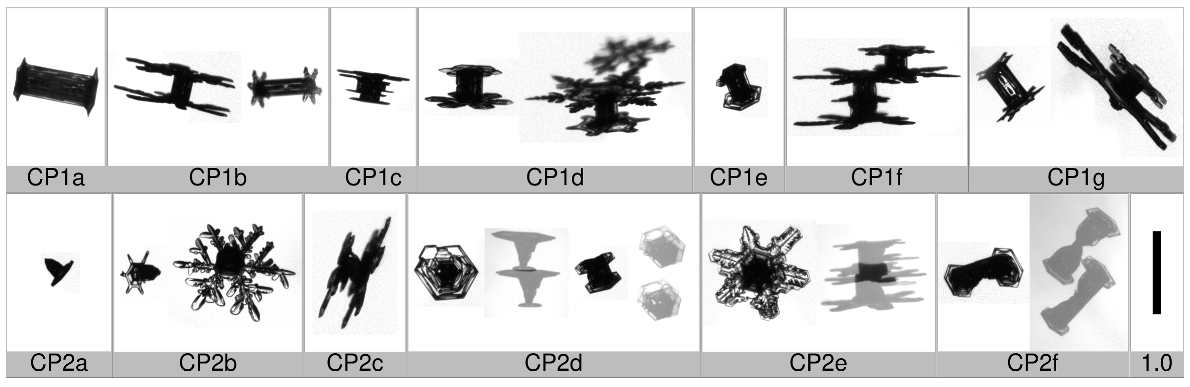 Applsci 10 01163 i004 Applsci 10 01163 i004