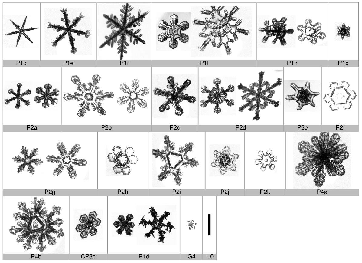 Applsci 10 01163 i006 Applsci 10 01163 i006
