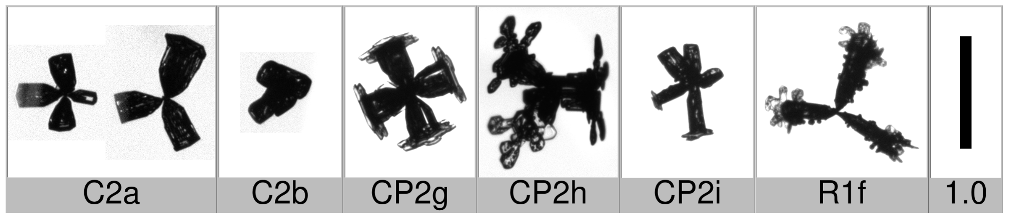 Applsci 10 01163 i007 Applsci 10 01163 i007