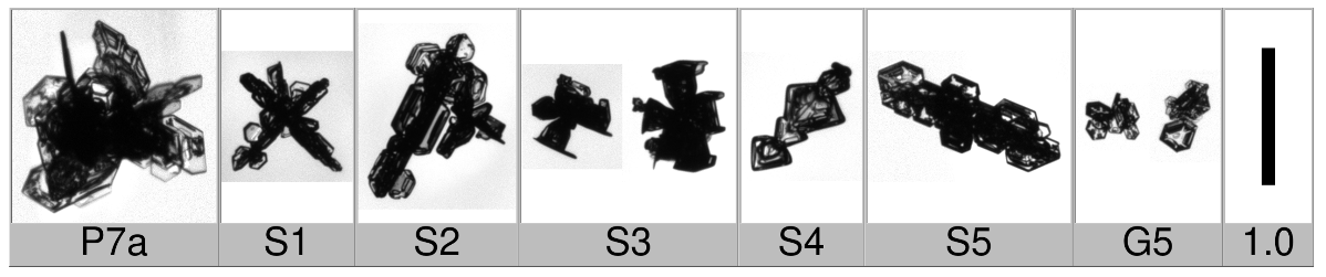 Applsci 10 01163 i009 Applsci 10 01163 i009