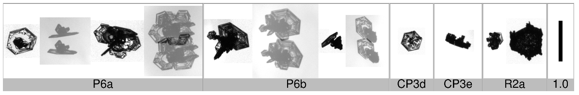 Applsci 10 01163 i010 Applsci 10 01163 i010