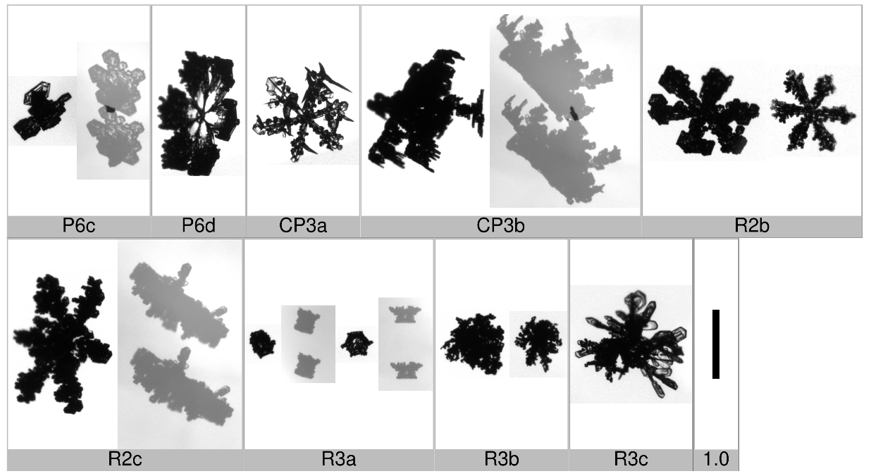 Applsci 10 01163 i011 Applsci 10 01163 i011