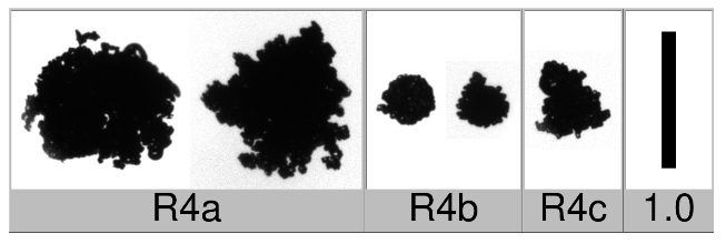 Applsci 10 01163 i012 Applsci 10 01163 i012