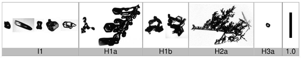 Applsci 10 01163 i013 Applsci 10 01163 i013