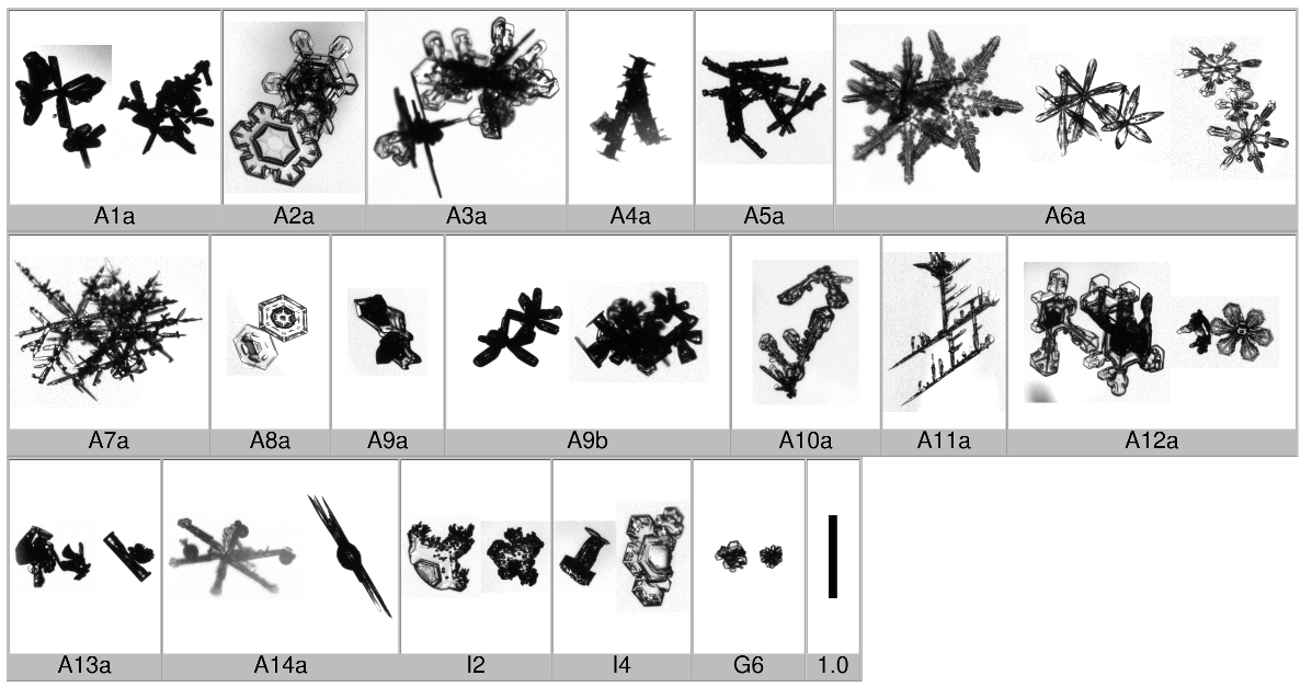 Applsci 10 01163 i014 Applsci 10 01163 i014