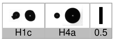 Applsci 10 01163 i015 Applsci 10 01163 i015