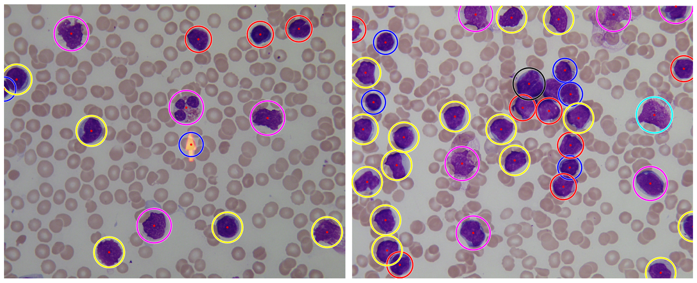 Applsci 10 01176 g015