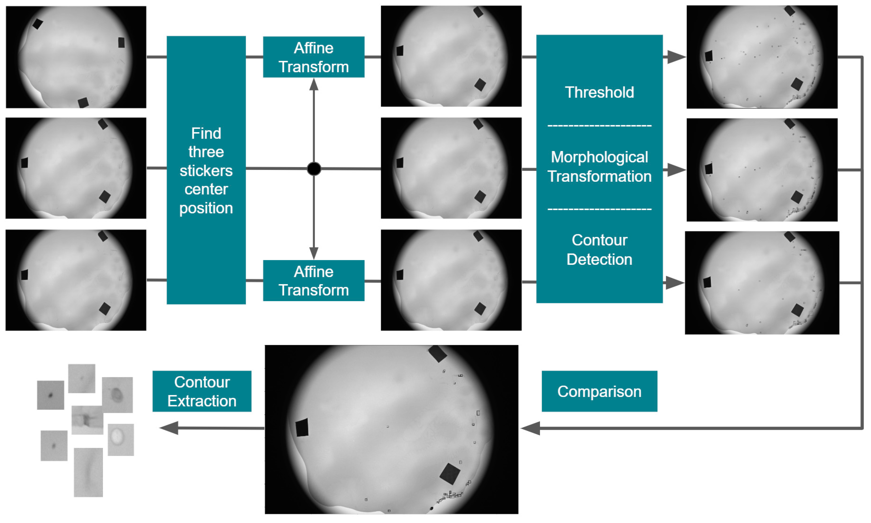 Applsci 10 01206 g011