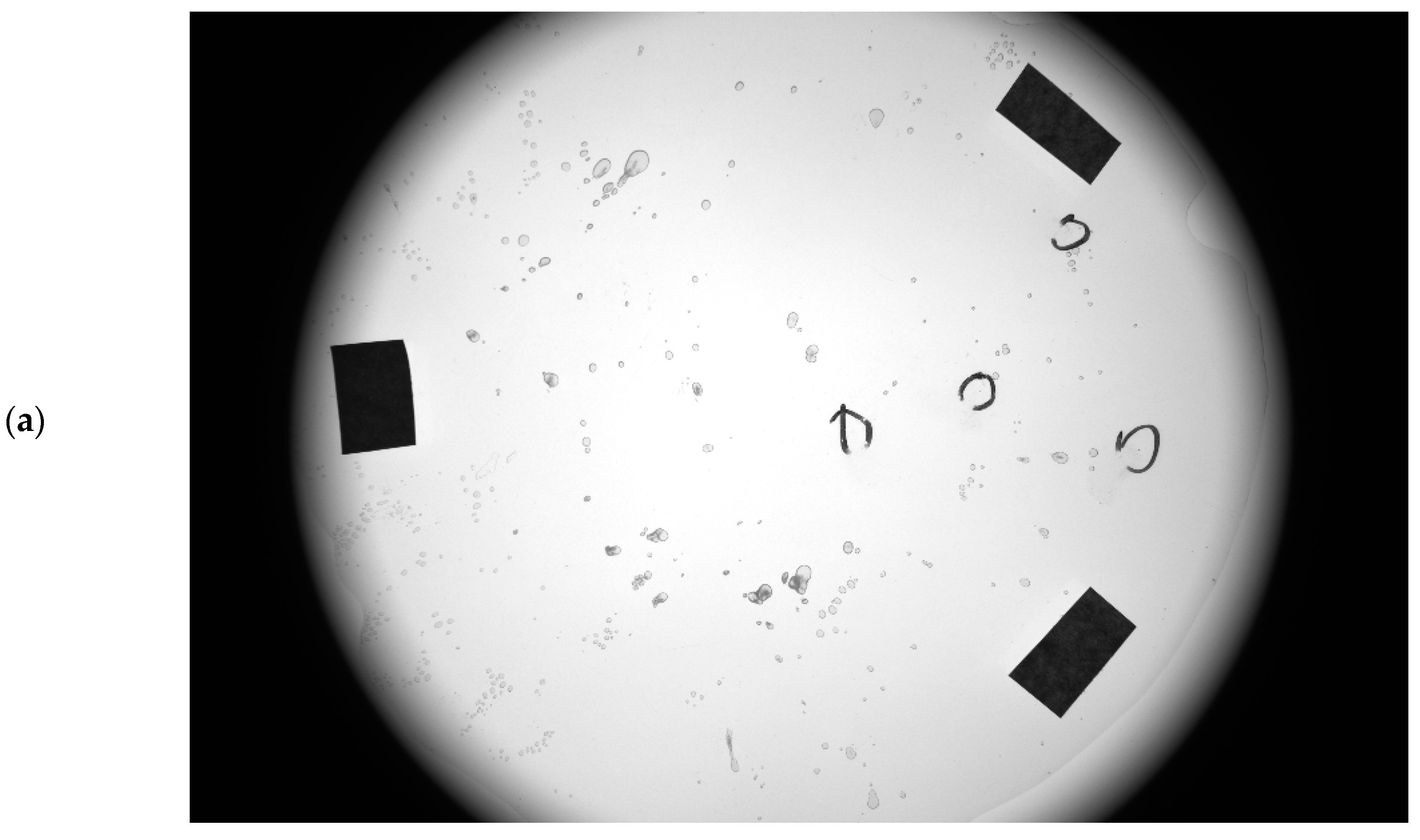 Applsci 10 01206 g012a