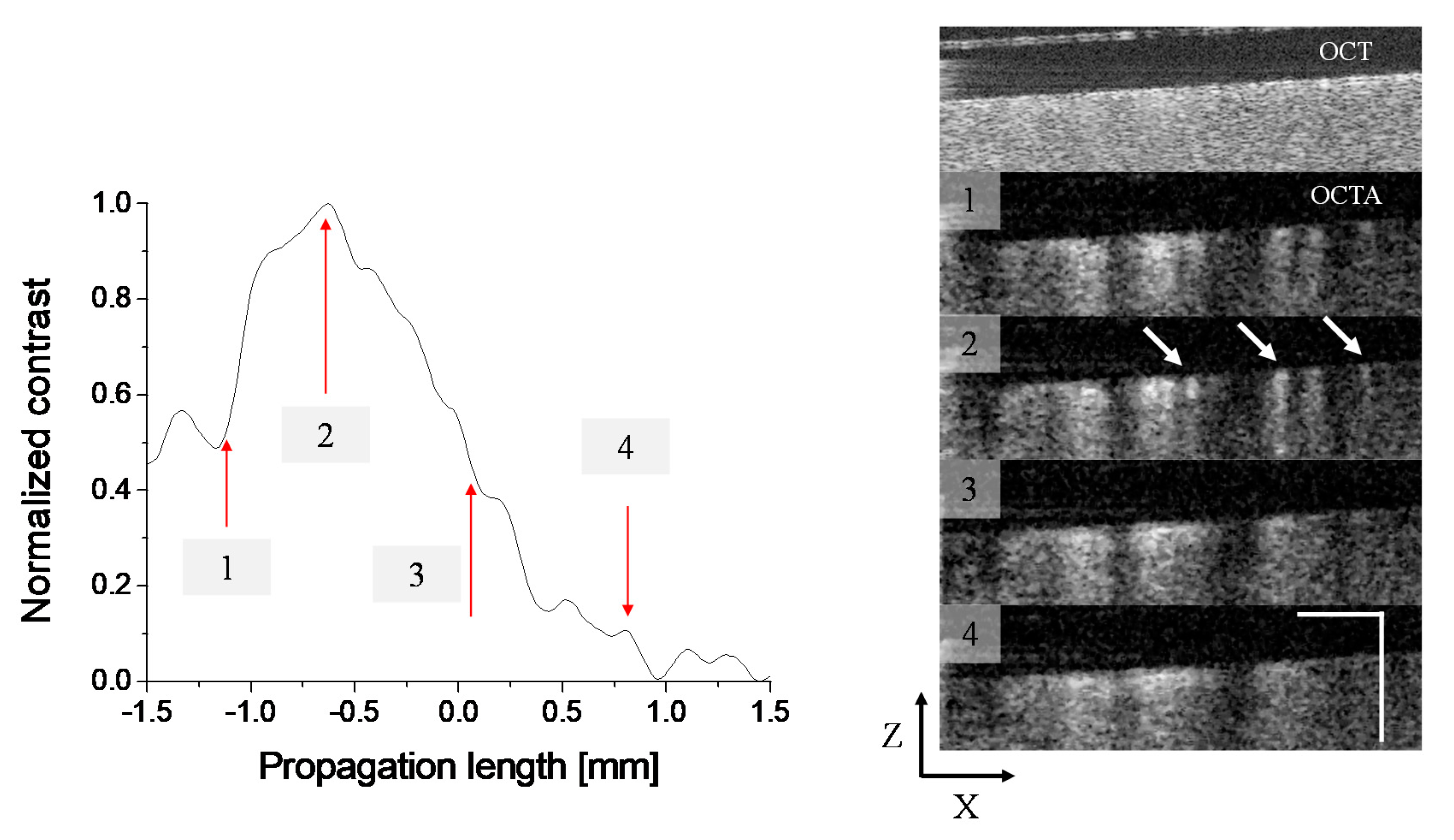 Applsci 10 01210 g003