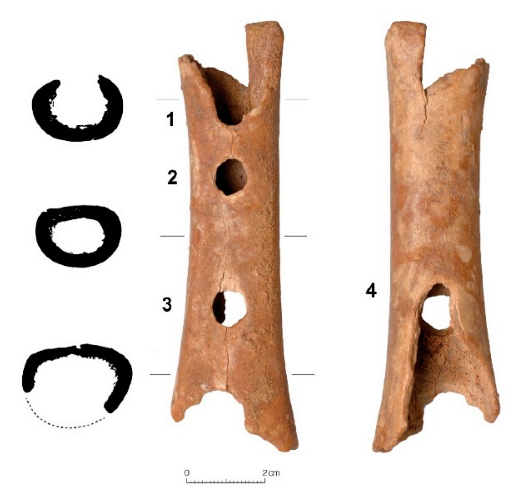 Bone Flute Is Oldest Instrument, Study Says