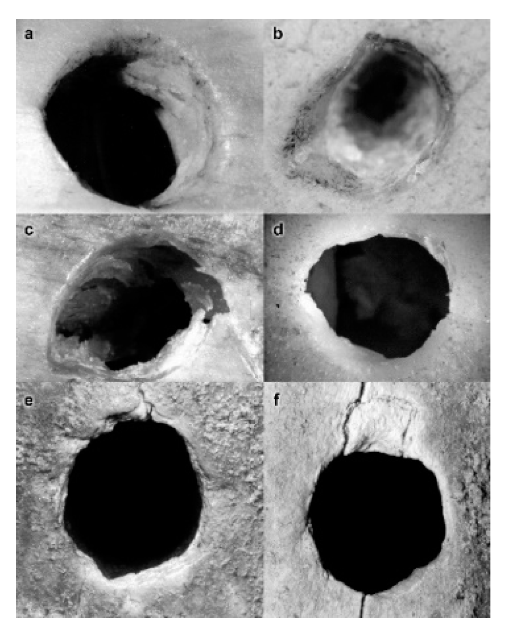 Applsci 10 01226 g003 Applsci 10 01226 g003