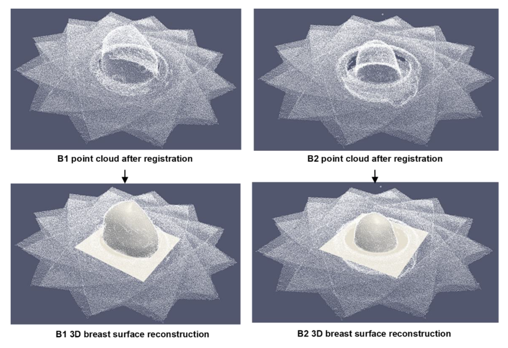 Applsci 10 01234 g029 Applsci 10 01234 g029