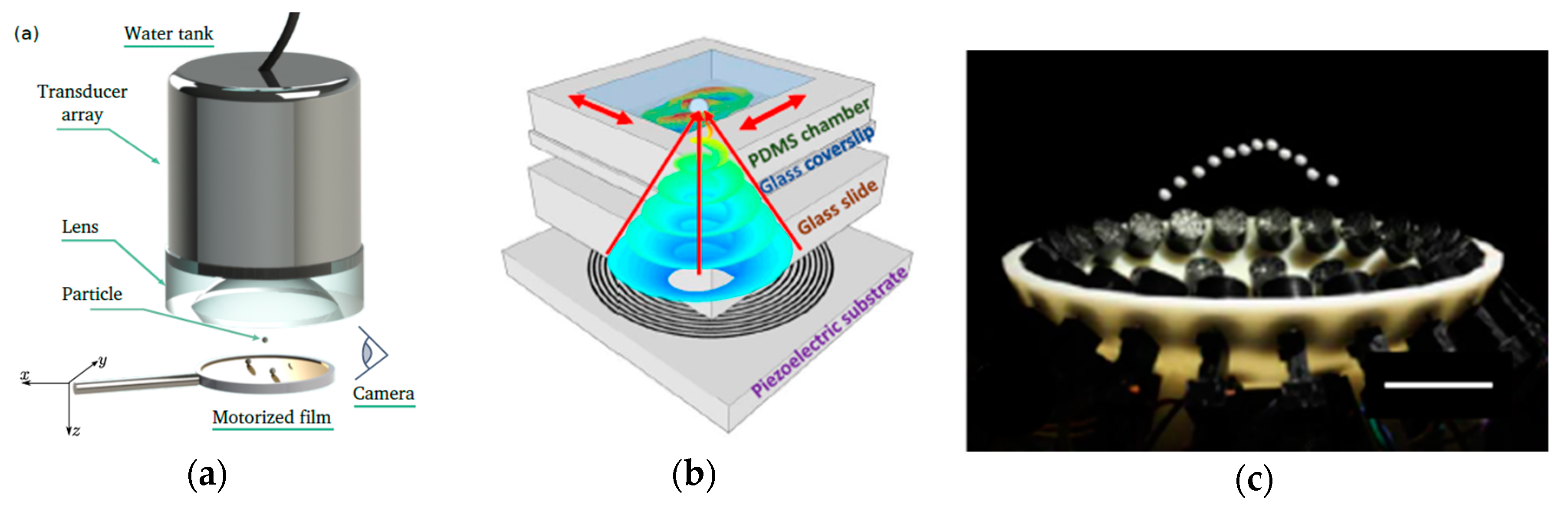 Applsci 10 01260 g003 Applsci 10 01260 g003