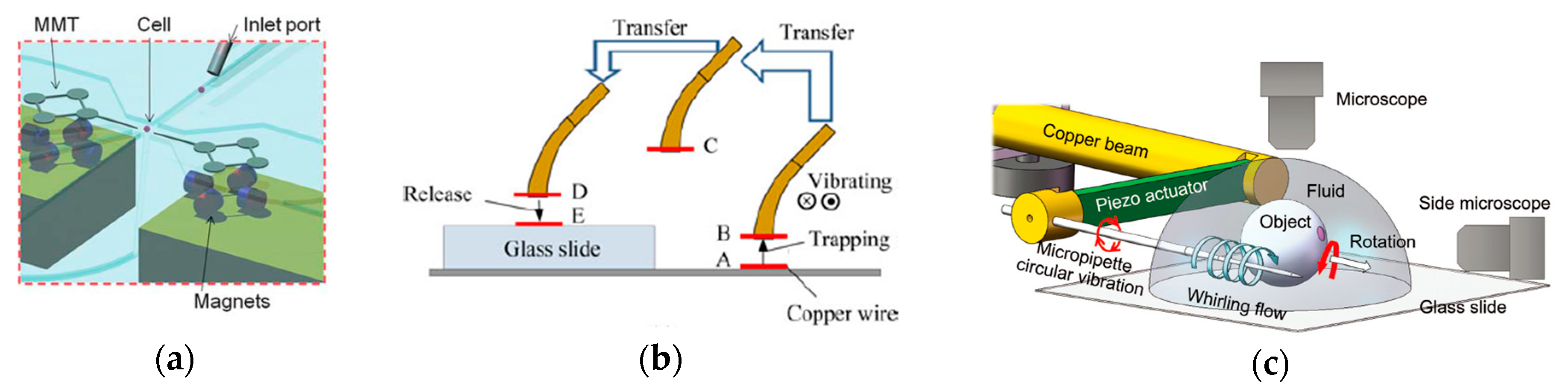 Applsci 10 01260 g005 Applsci 10 01260 g005