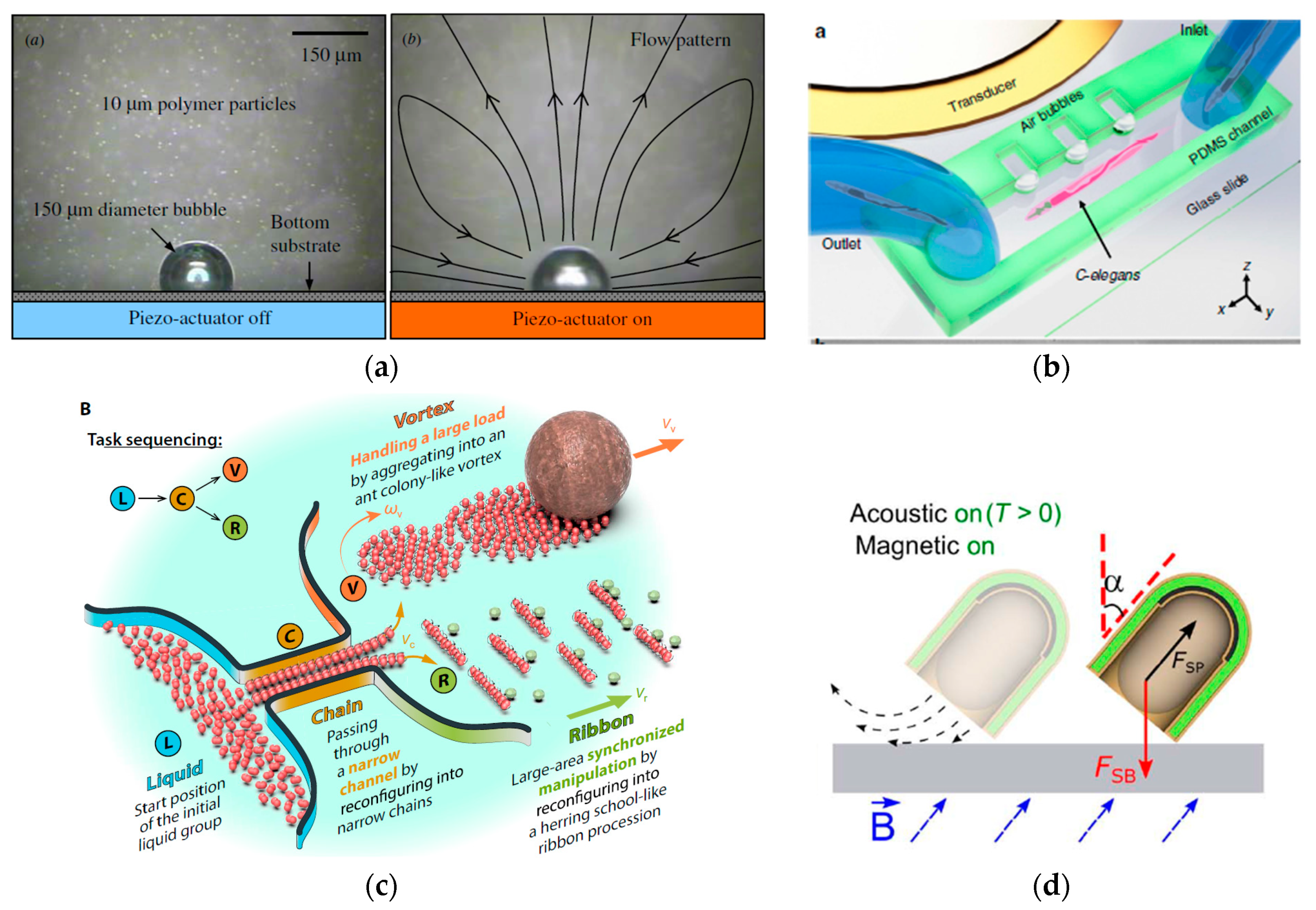 Applsci 10 01260 g007 Applsci 10 01260 g007