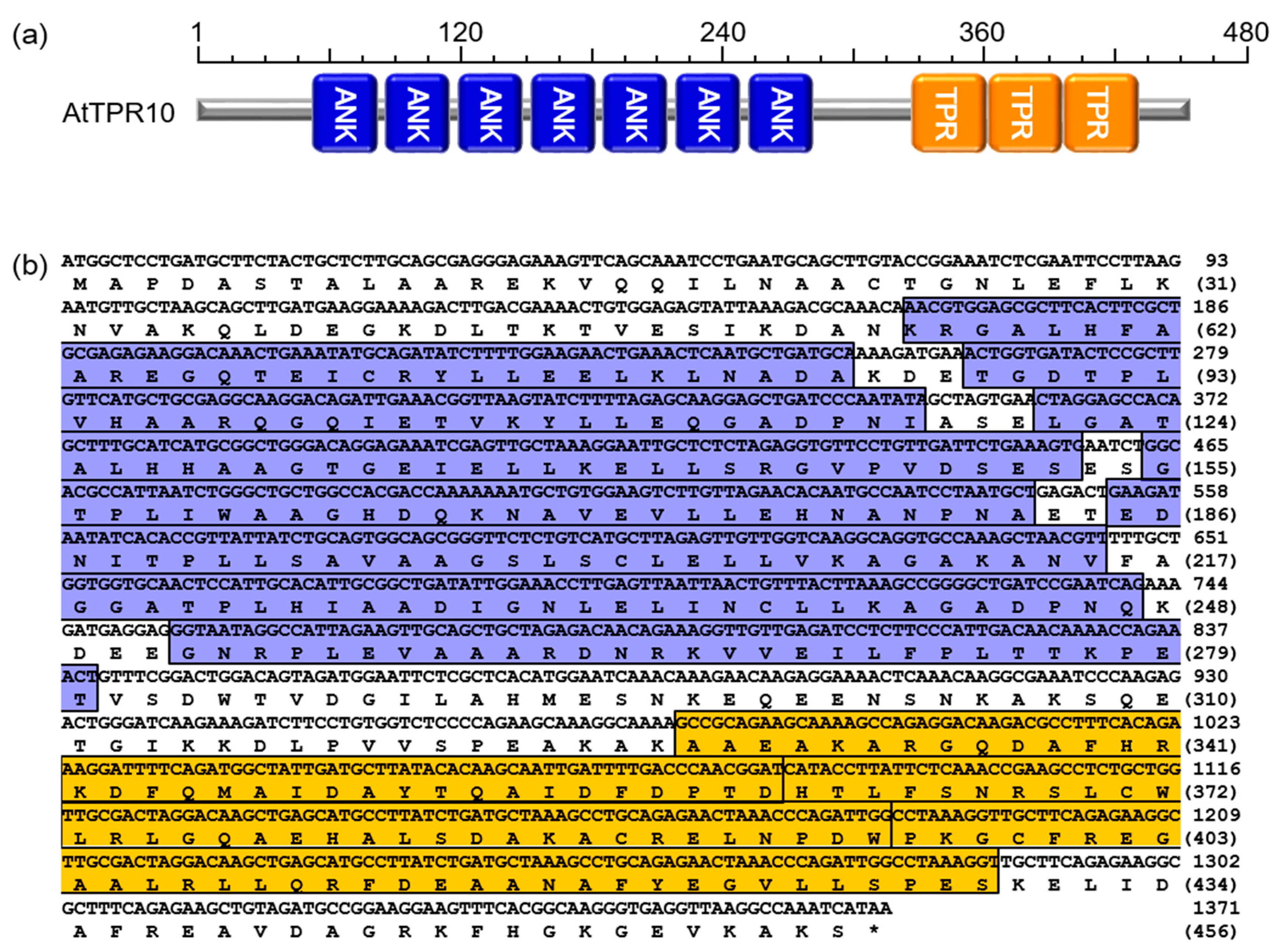 Applsci 10 01265 g002