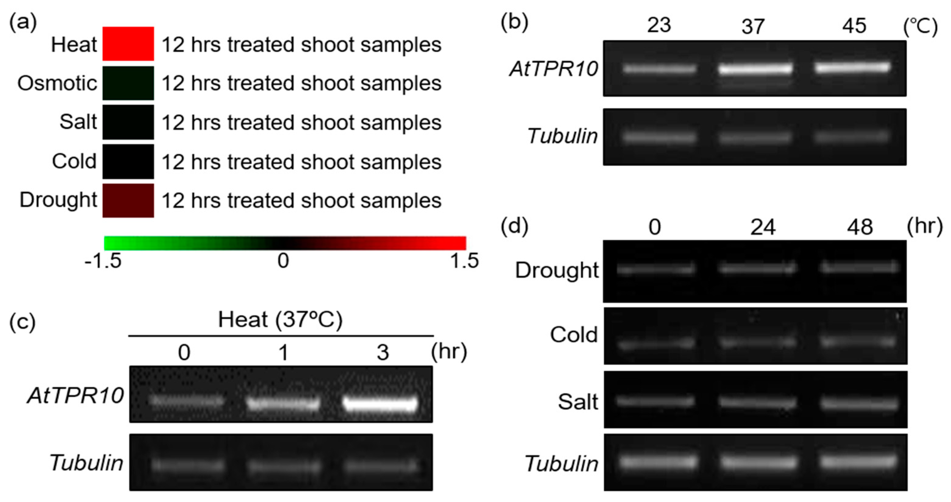 Applsci 10 01265 g003