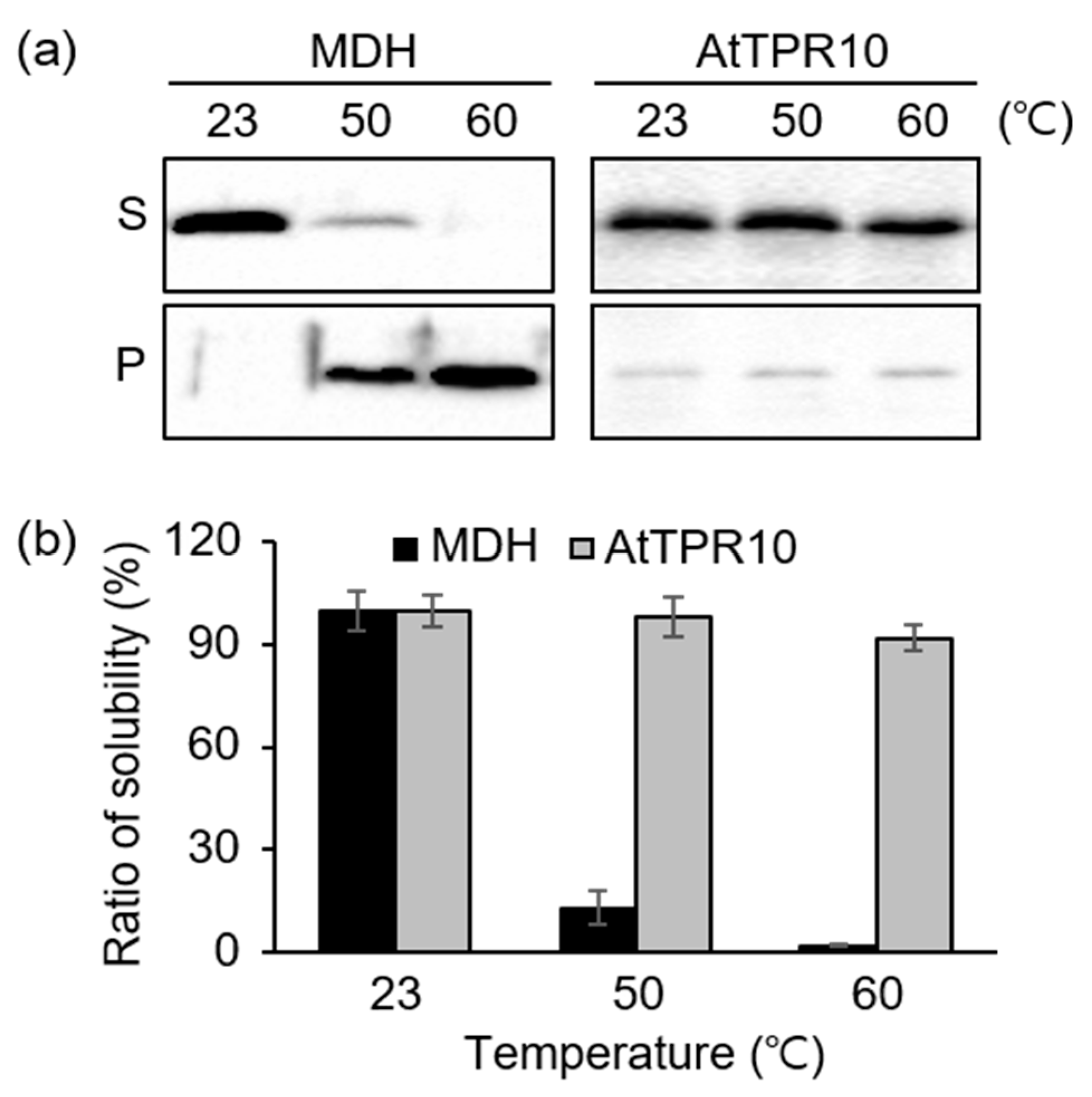Applsci 10 01265 g004