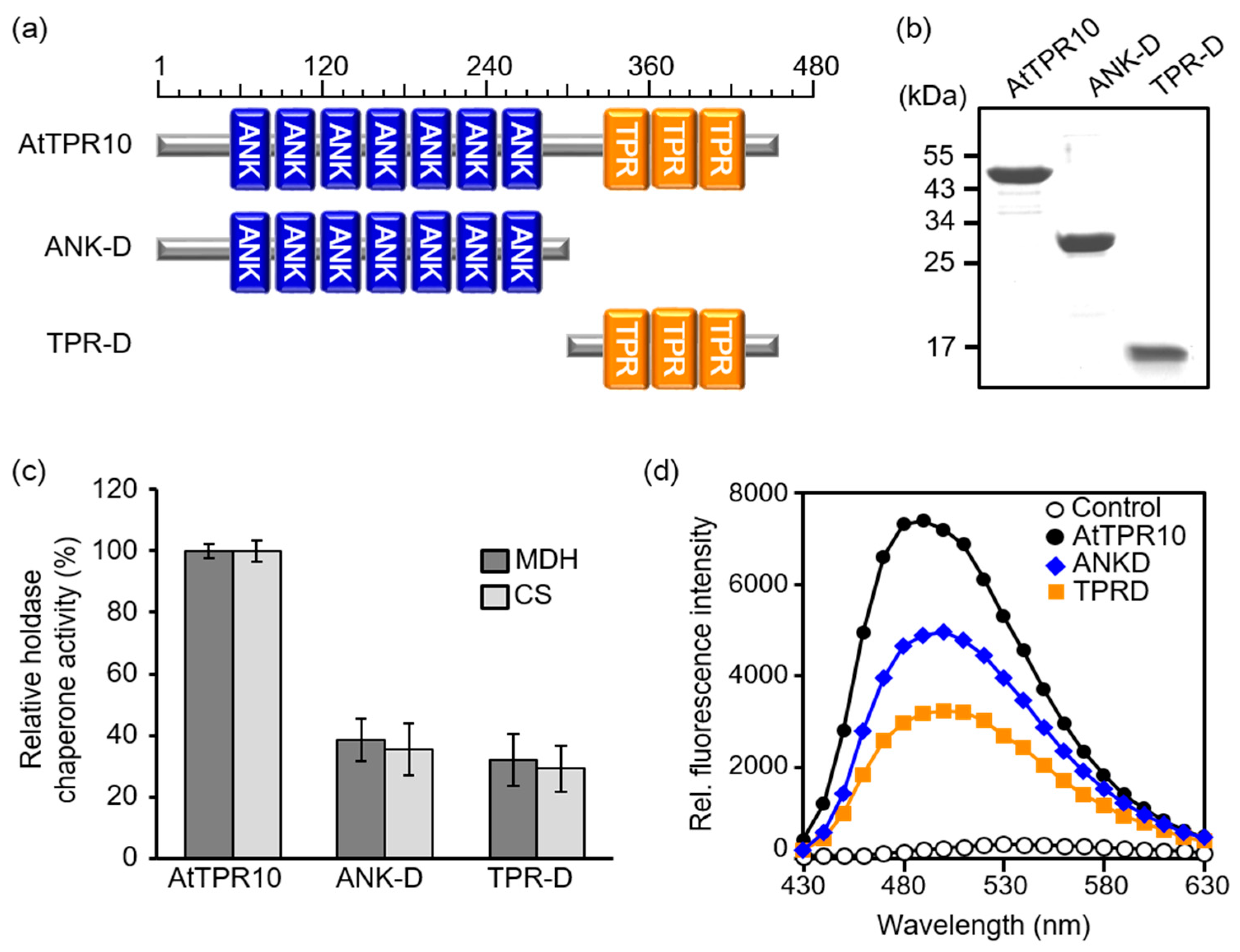 Applsci 10 01265 g007