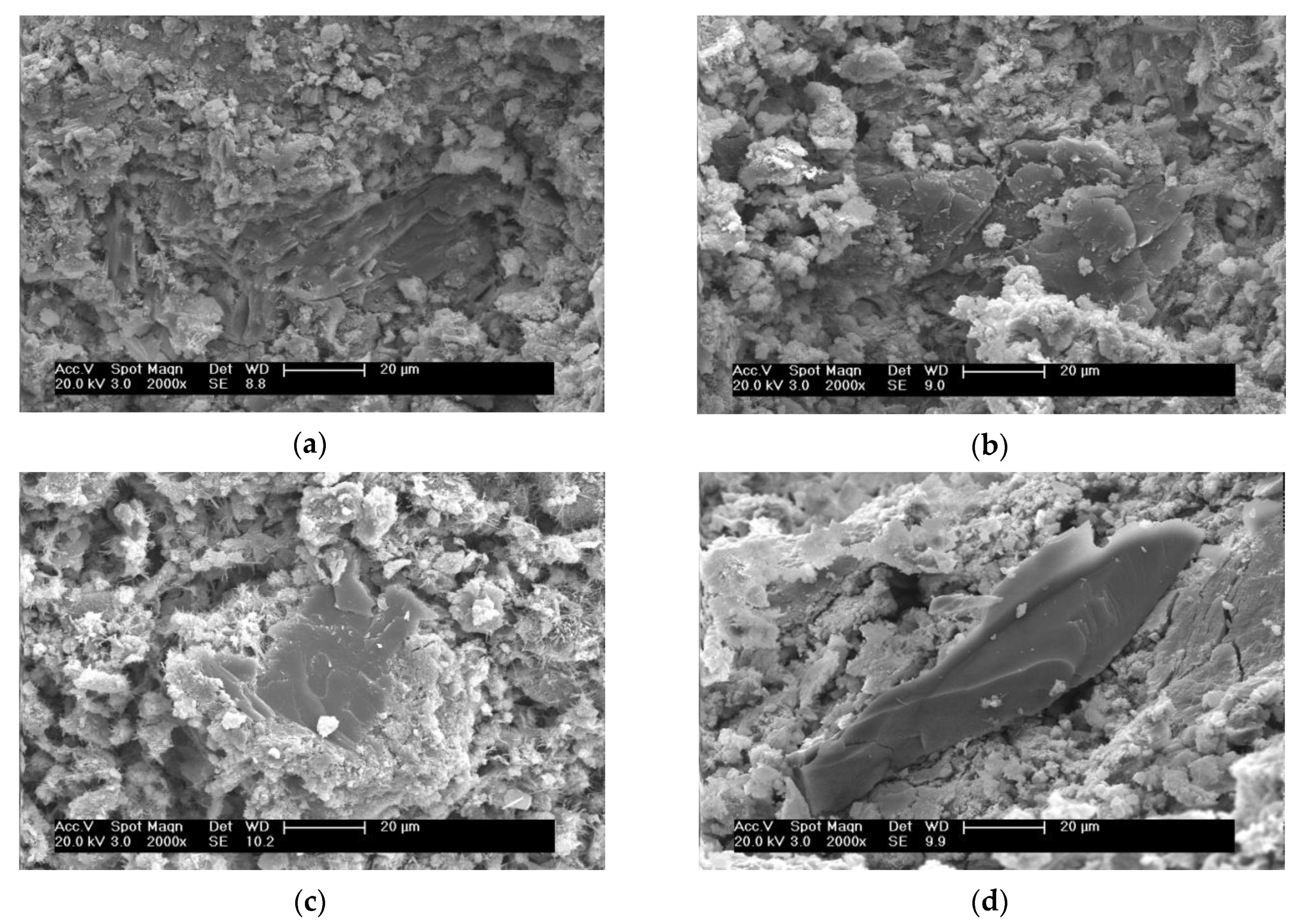 Applsci 10 01291 g007