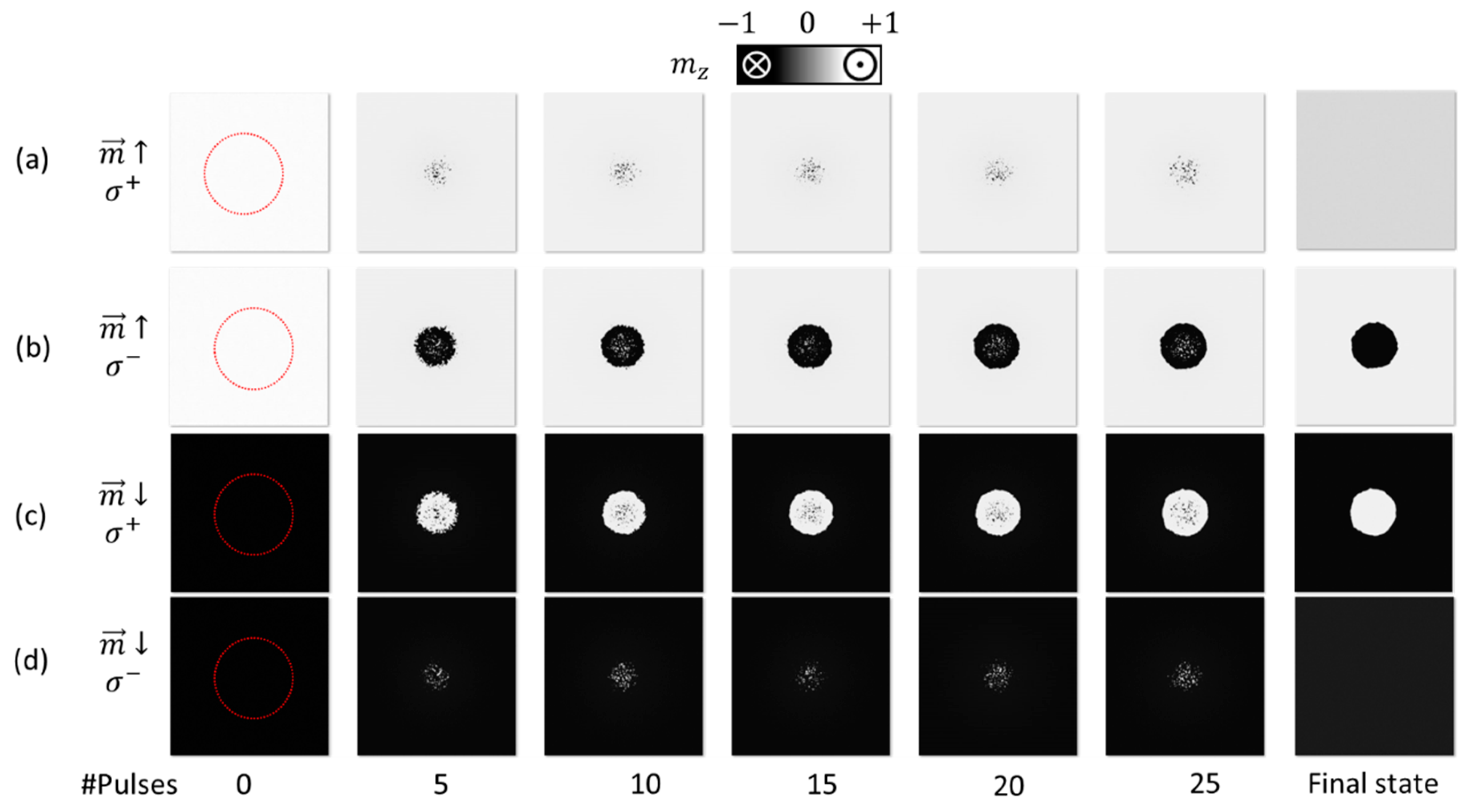 Applsci 10 01307 g002 Applsci 10 01307 g002