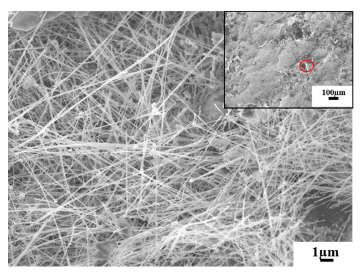 Applsci 10 01314 g011 Applsci 10 01314 g011