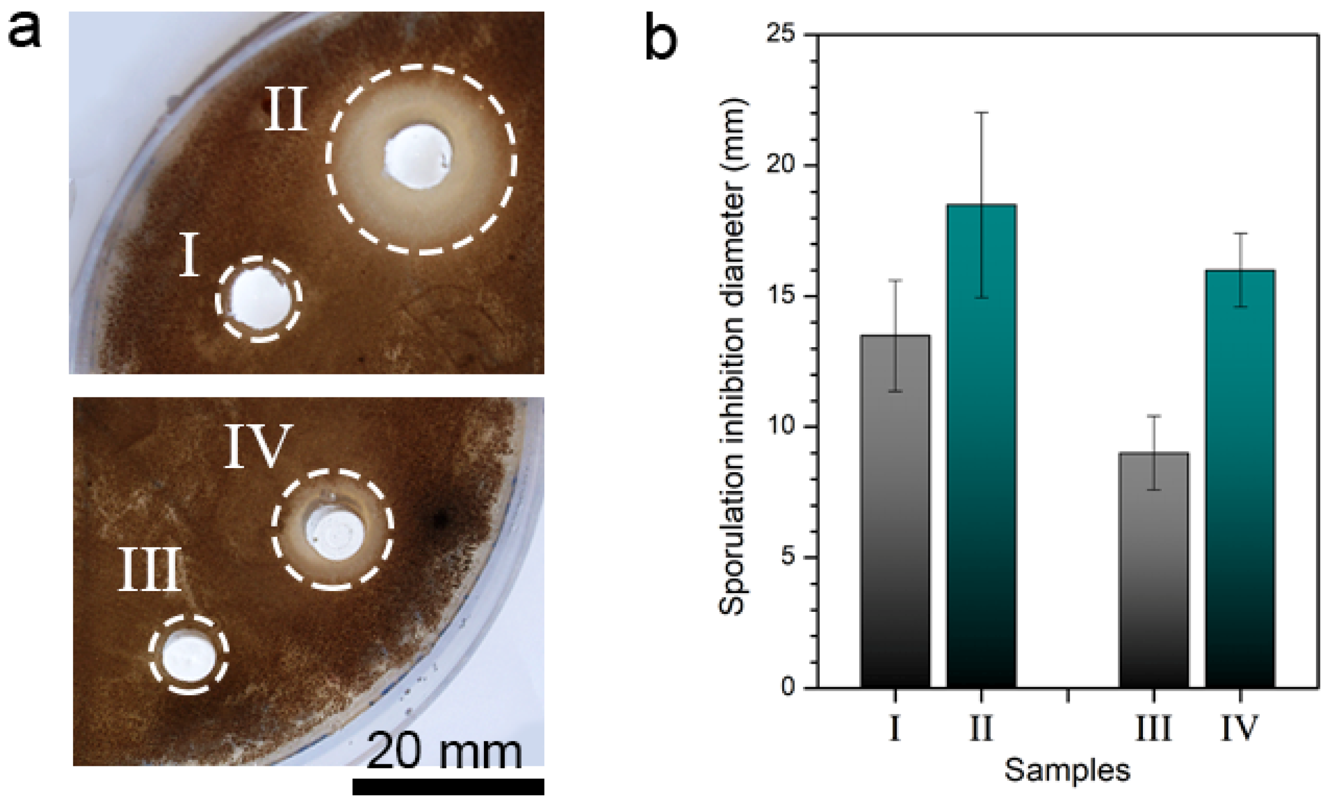 Applsci 10 01322 g004