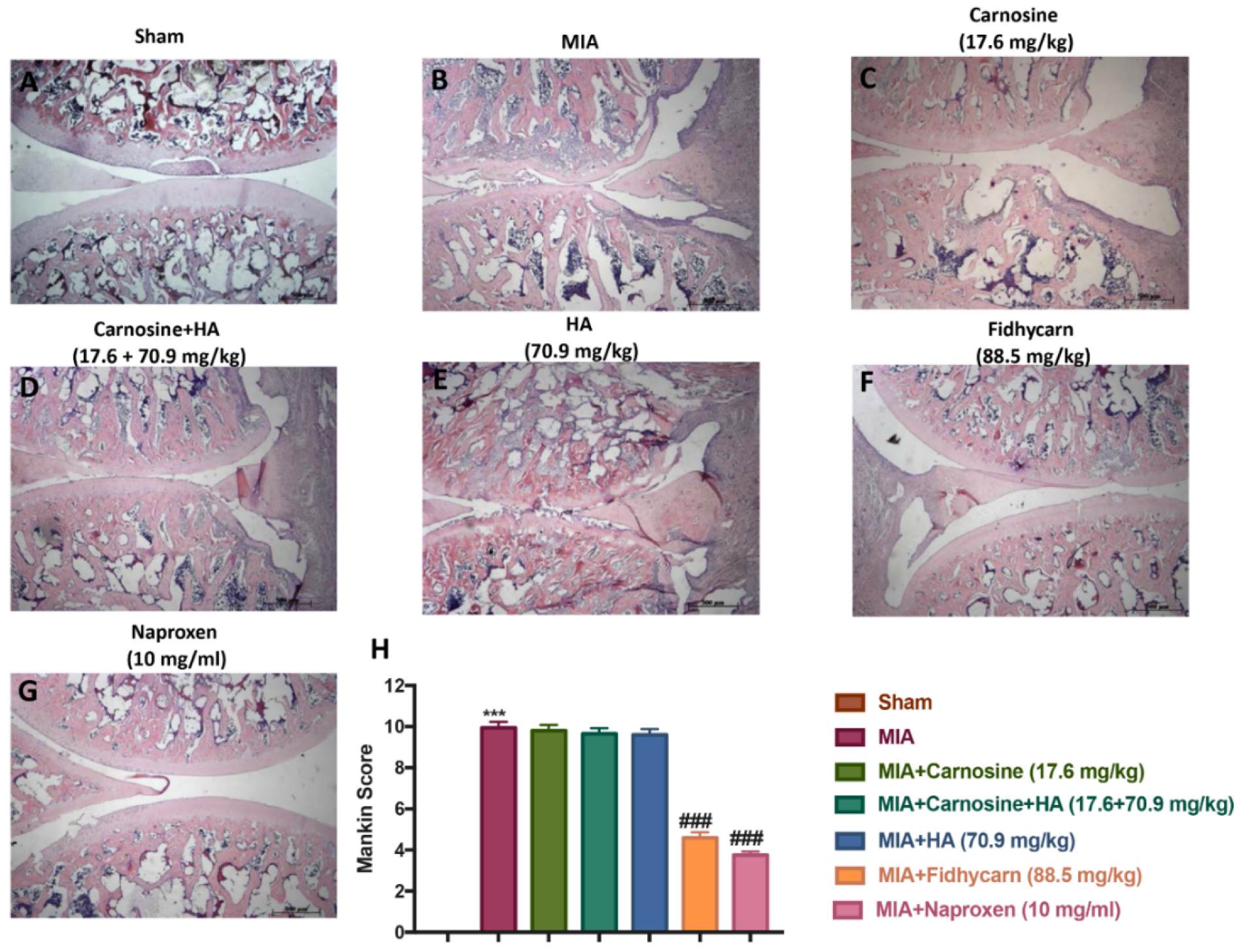 Applsci 10 01324 g005 Applsci 10 01324 g005