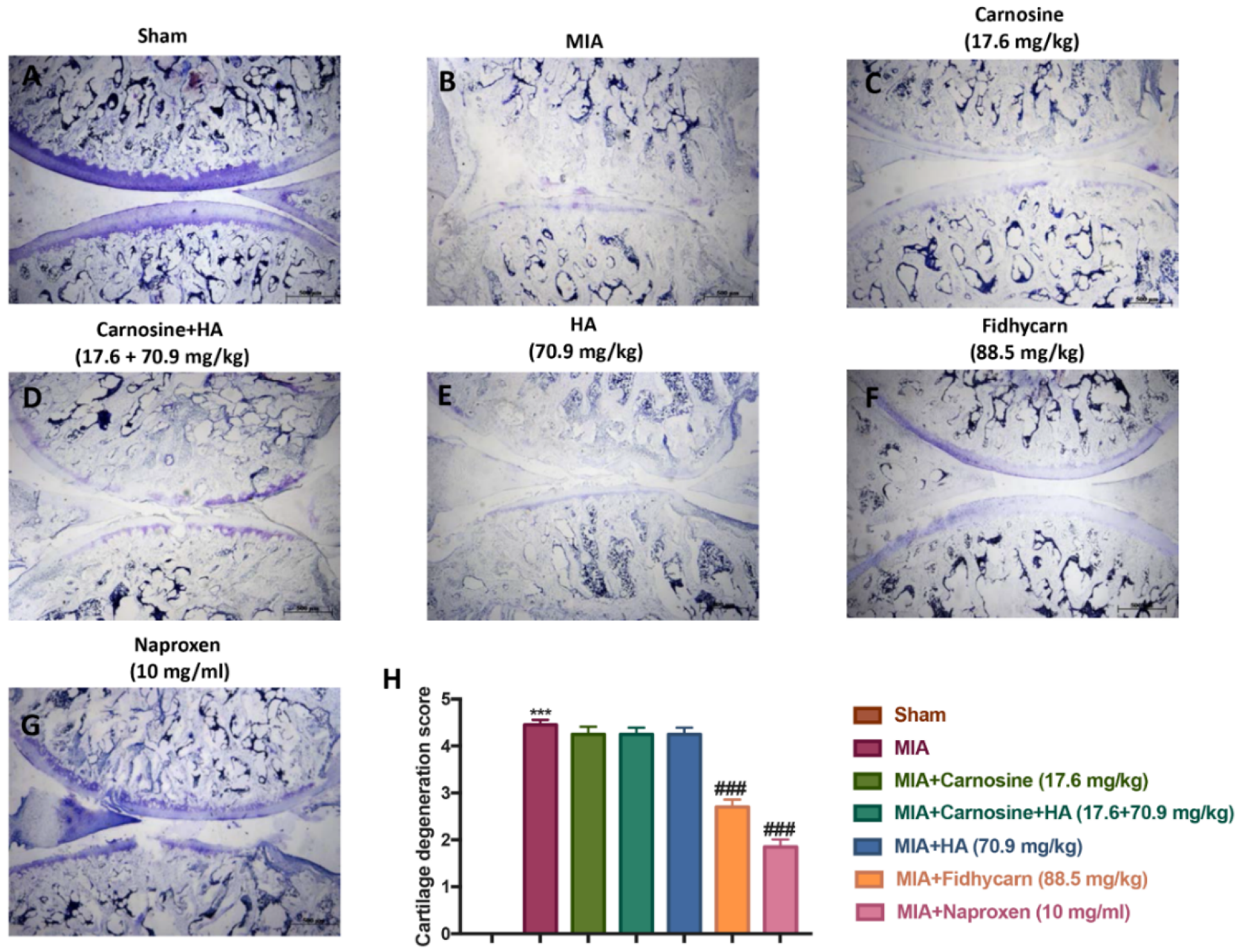 Applsci 10 01324 g006 Applsci 10 01324 g006