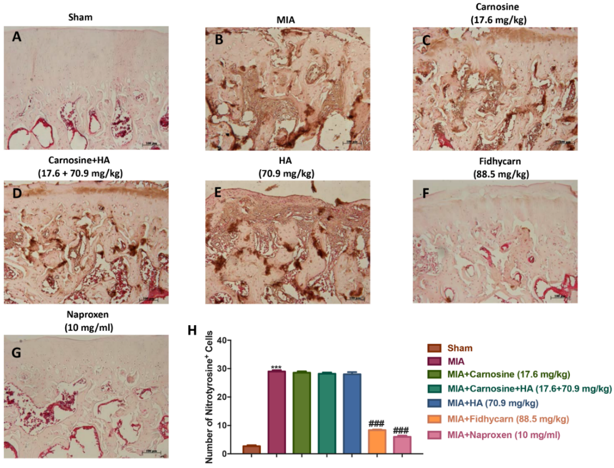 Applsci 10 01324 g008 Applsci 10 01324 g008