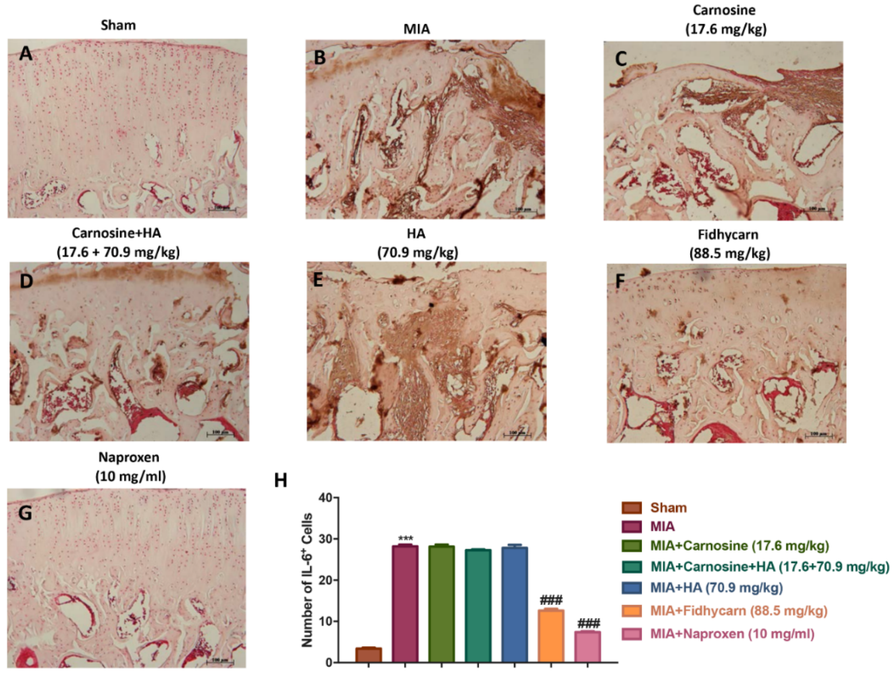 Applsci 10 01324 g011 Applsci 10 01324 g011