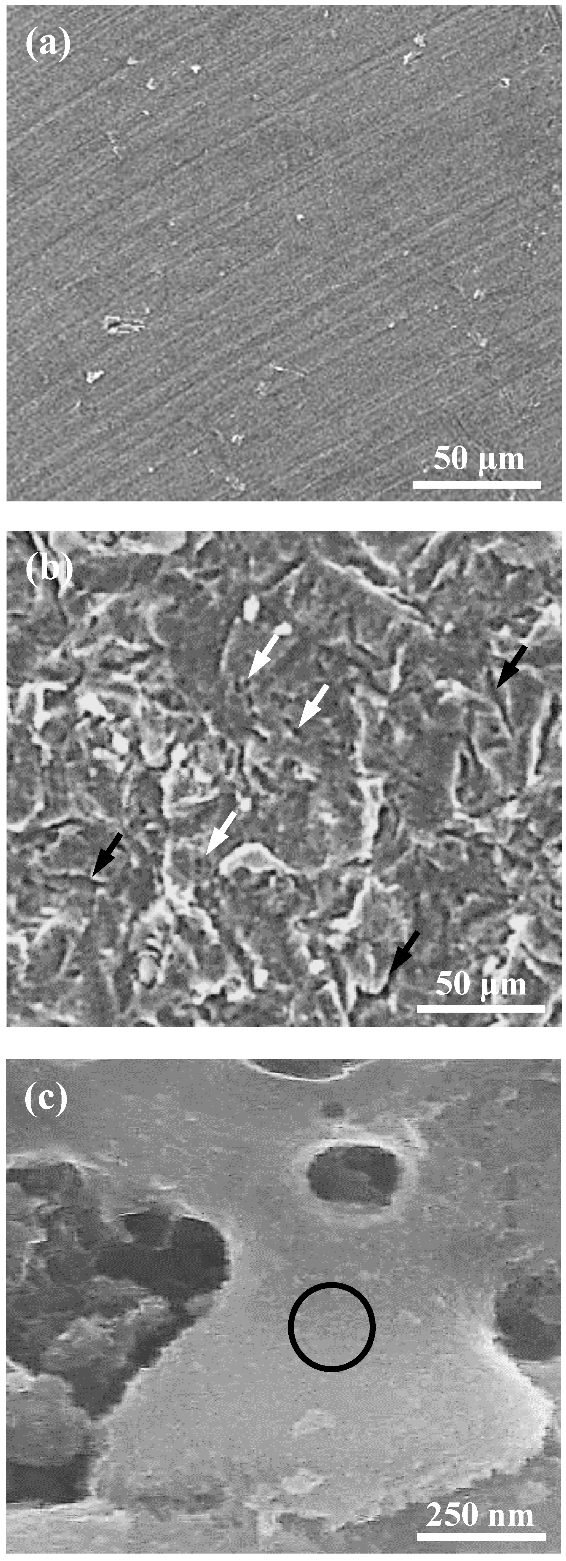 Applsci 10 01363 g001a Applsci 10 01363 g001a